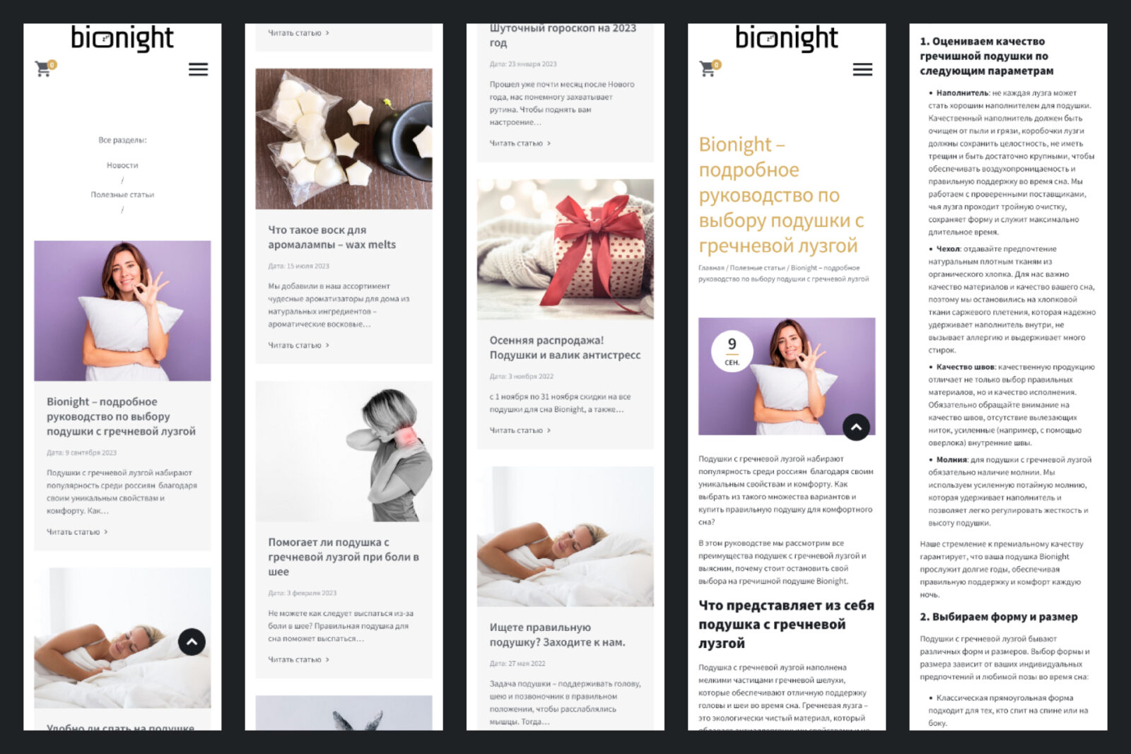 Блог на Wordpress - Bionight - mobile